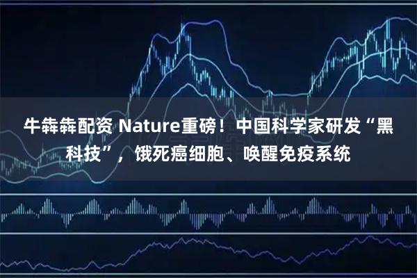 牛犇犇配资 Nature重磅！中国科学家研发“黑科技”，饿死癌细胞、唤醒免疫系统