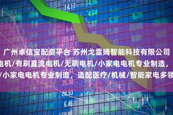 广州卓信宝配资平台 苏州戈雷姆智能科技有限公司：直流无刷电机/交流电机/有刷直流电机/无刷电机/小家电电机专业制造，适配医疗/机械/智能家电多领域