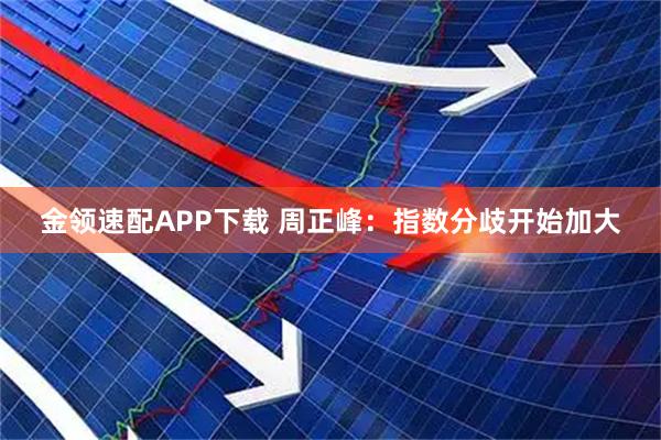 金领速配APP下载 周正峰：指数分歧开始加大